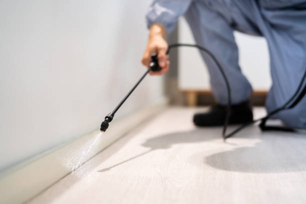 Licensed Pest Control service in Oxon Hill, MD - Show Me Pest Control