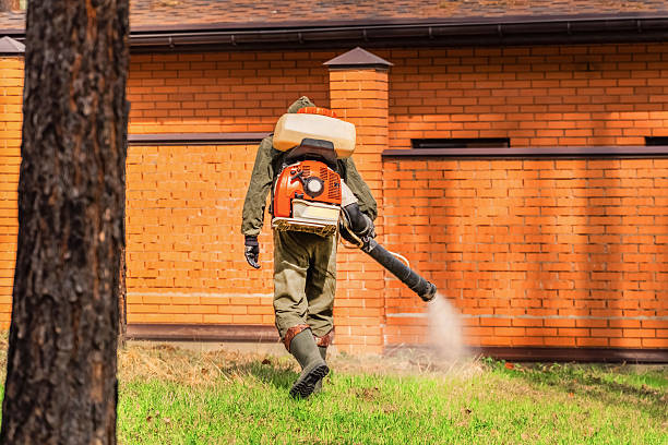 Bed Bug Clearance Verification and Documentation in Oxon Hill